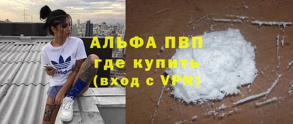индика Алексеевка