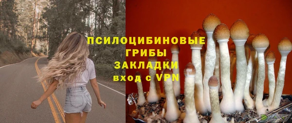 не бодяженный Алзамай