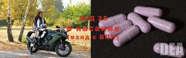 герыч Арсеньев