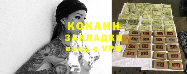 мяу мяу мука Аркадак