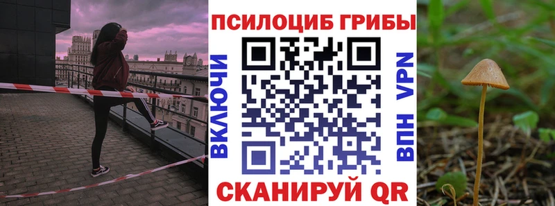 Псилоцибиновые грибы GOLDEN TEACHER  Краснотурьинск 